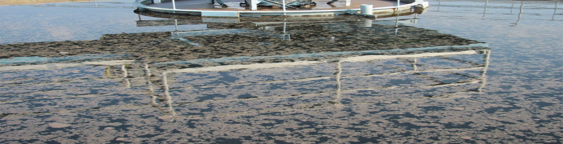 二沉池污泥上浮